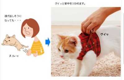 ハンドルベスト　取っ手付きの猫服