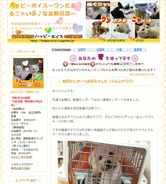 森泉さん佐賀市にある猫 犬100匹の動物保護施設ハッピーボイスをリフォーム
