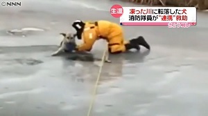 カナダ　犬が氷の穴に落ち、消防隊員が救う画像が話題